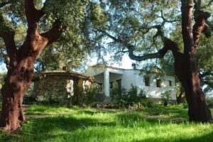 Casa Rural El Chaparral de Aracena