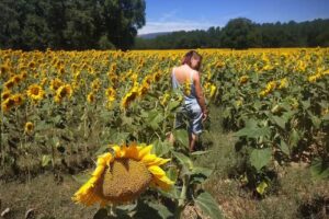 Casa Rural El Esquilador