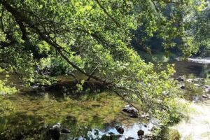 Casa Rural El Molino de la Antigua