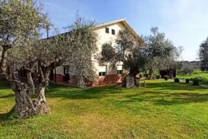 Casa Rural El Olivar del Marqués