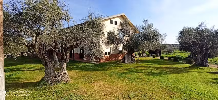 Casa Rural El Olivar del Marqués