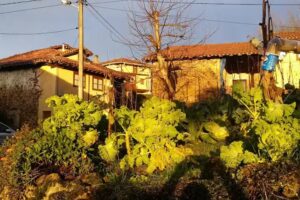 Casa Rural “El Sucón”.