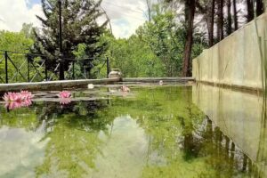 Casa Rural Finca Salto del Ciervo