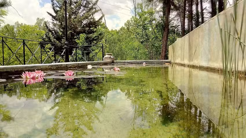 Casa Rural Finca Salto del Ciervo