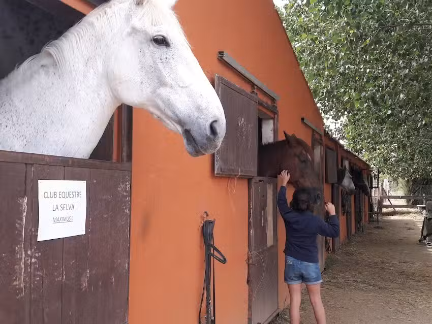 Casa Rural Hípica Mas Paguina
