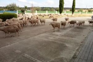 Casa rural Ivanrey I