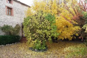 Casa Rural La Almuerza