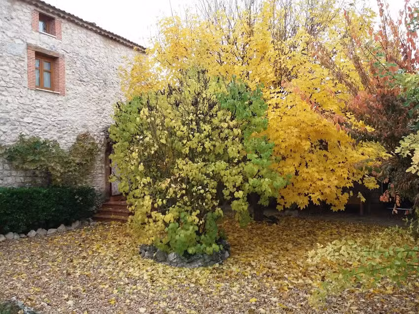 Casa Rural La Almuerza