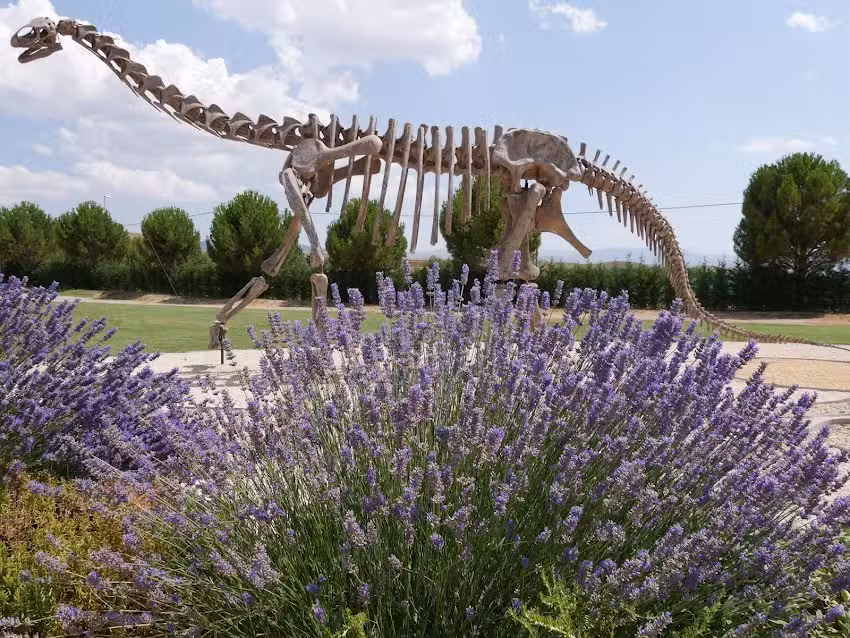 Casa Rural La Casa Del Olmo