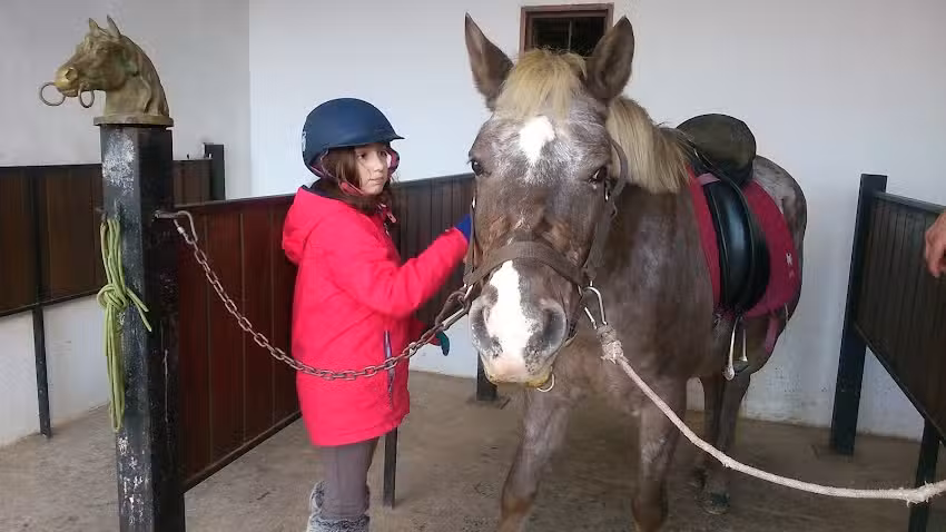 Casa Rural La Colmena