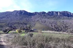 Casa Rural La Costana