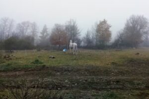 Casa Rural la Cruz de Ferro
