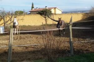 Casa Rural La Cúpula Del Convento