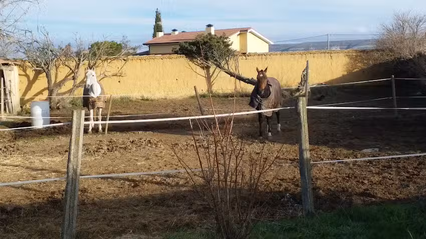 Casa Rural La Cúpula Del Convento