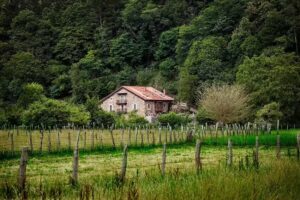 Casa Rural La Curva de María