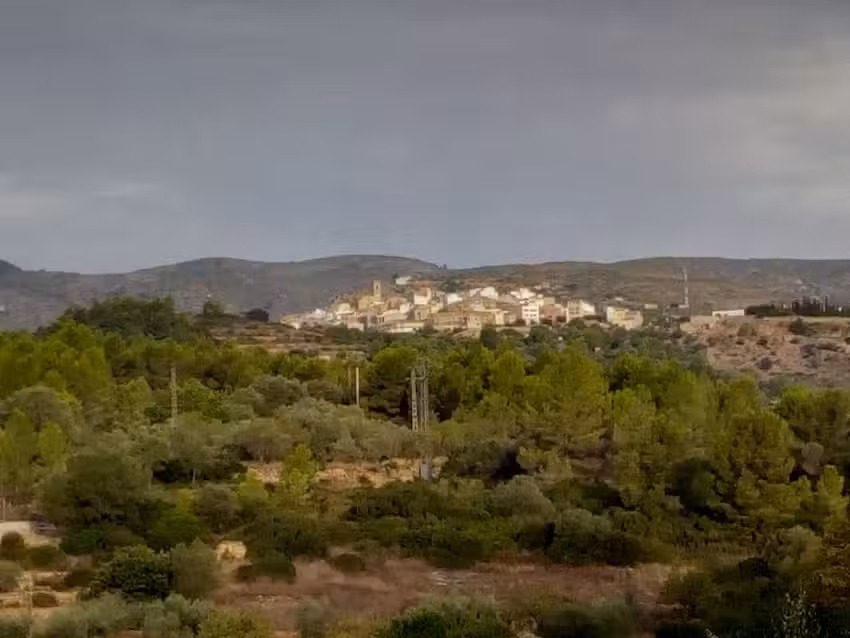Casa Rural La Miguelota
