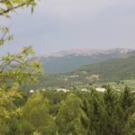 Casa Rural “La Parra”.