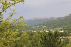 Casa Rural “La Parra”.