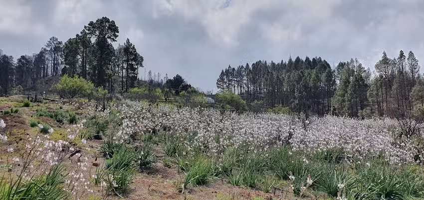 Casa Rural La Podona