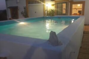 Casa Rural “La Serrería de Férez”.