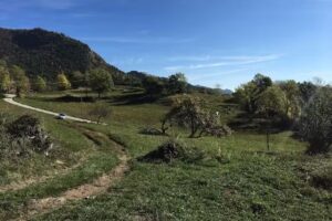 Casa Rural la Solana