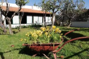 CASA RURAL LIMÓN Y SOL