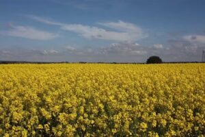 Casa Rural Los Cantaros