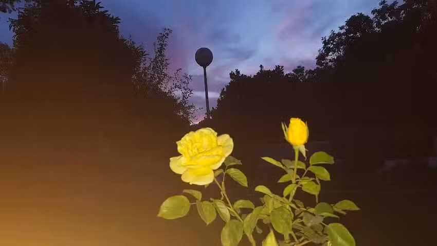 Casa Rural Los Jazmines