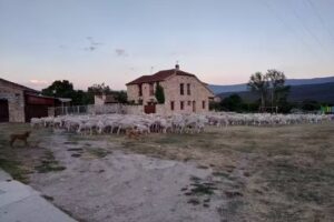 Casa rural Los Maestros