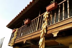 Casa Rural los Panizales