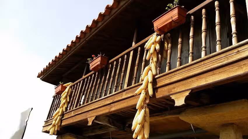 Casa Rural los Panizales