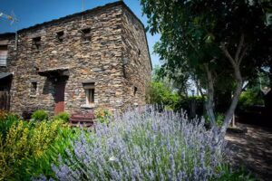 Casa Rural “Los Tres Olivos”