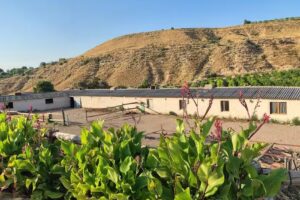 Casa Rural Mas Mirono