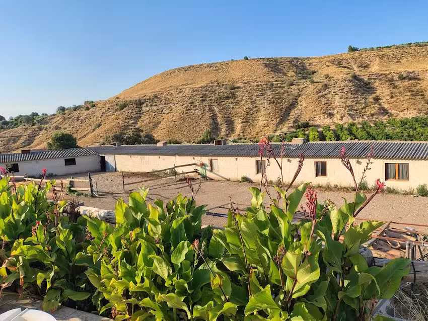 Casa Rural Mas Mirono