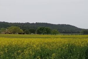 Casa rural Mas Nou d’en Lliura Peratallada