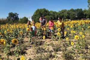 Casa Rural Ni 4 Gatos