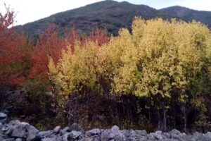 Casa Rural Solacueva