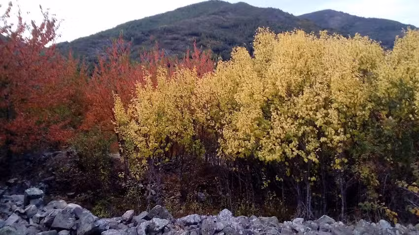 Casa Rural Solacueva