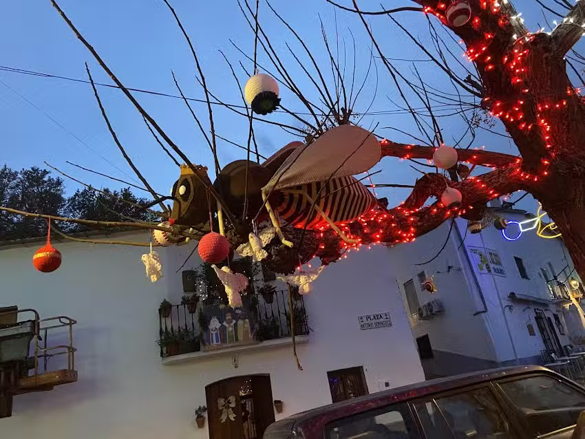 Casa Rural Valdelarco Sierra Aracena