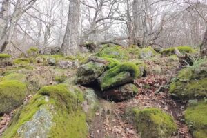 Casa Rural Villafañe