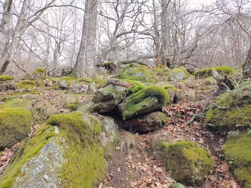 Casa Rural Villafañe