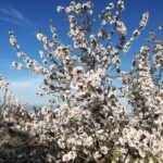 Casa Rural Vista Alegre