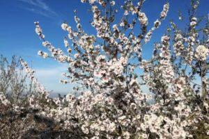 Casa Rural Vista Alegre