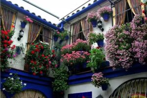 Casa Turística El Membrillar