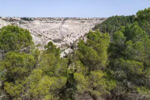 CASAS RURALES GILAVENTURA