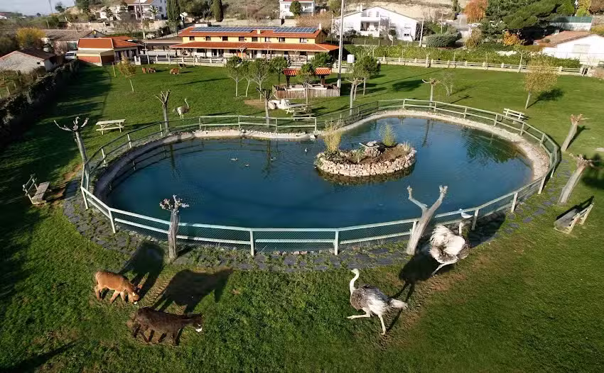 Casas Rurales La Noria