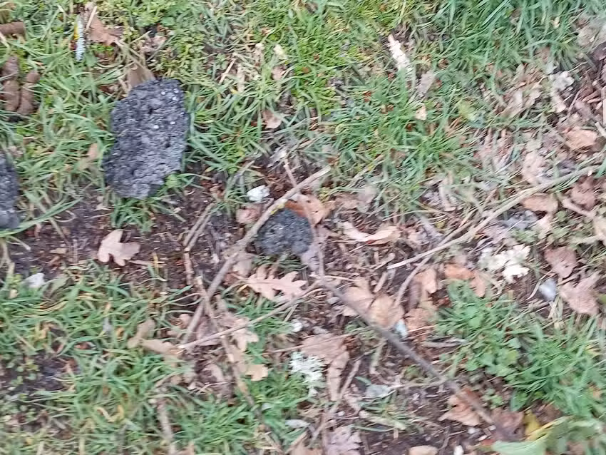 Casas Rurales Valle del Paular, Umbria