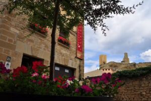 Caserón El Remedio I