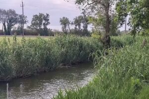 Casilla del Mas d’Avall