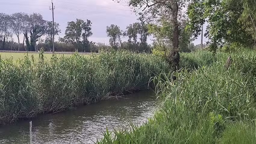 Casilla del Mas d’Avall